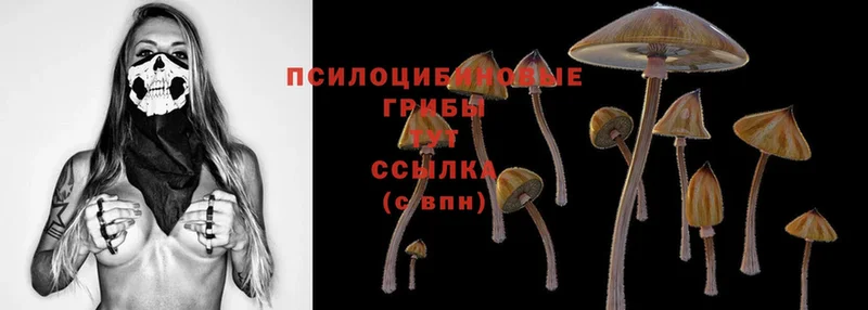 Псилоцибиновые грибы Magic Shrooms  Сатка 